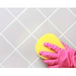 Selleys Rapid Mould Killer 500ml