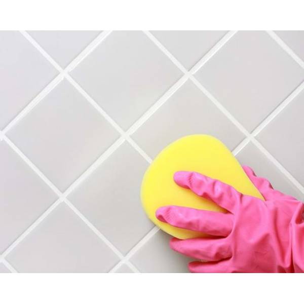 Selleys Rapid Mould Killer 500ml