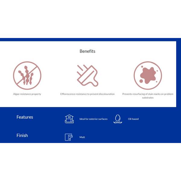 Vinilex 5170 Oil Base Wall Sealer