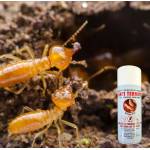 ANTI TERMITE Oil Based Aerosol 450ml