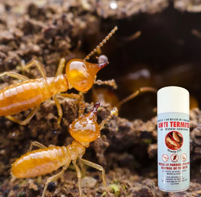 ad7dce15d80838fbdf438fc79b38a158